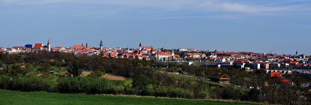 Vas Sklep - Vinny Sklep A Penzion Znojmo Dış mekan fotoğraf